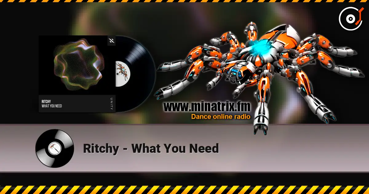 Ritchy - What You Need listen online in high quality | Minatrix.FM