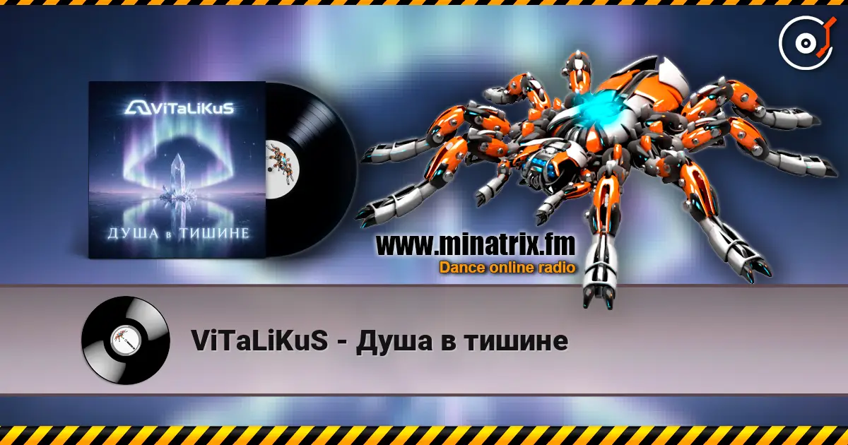 ViTaLiKuS - Душа в тишине слухати онлайн у високій якості | Minatrix.FM