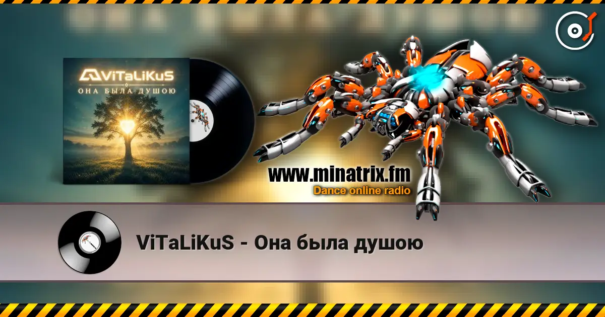 ViTaLiKuS - Она была душою слухати онлайн у високій якості | Minatrix.FM