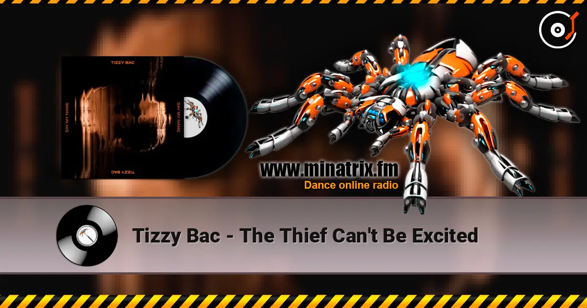 Tizzy Bac - The Thief Can't Be Excited listen online in high quality | Minatrix.FM