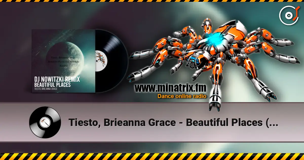 Tiesto, Brieanna Grace - Beautiful Places (DJ Nowitzki Remix) listen online in high quality | Minatrix.FM