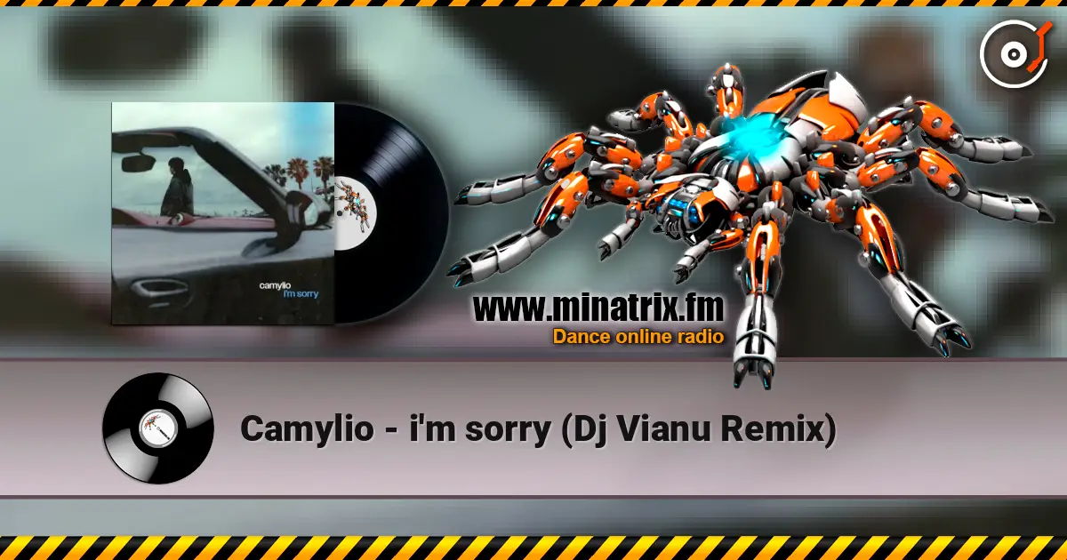 Camylio - i'm sorry (Dj Vianu Remix) listen online in high quality | Minatrix.FM