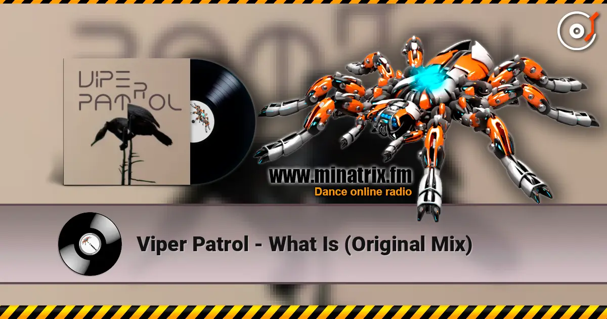 Viper Patrol - What Is (Original Mix) listen online in high quality | Minatrix.FM