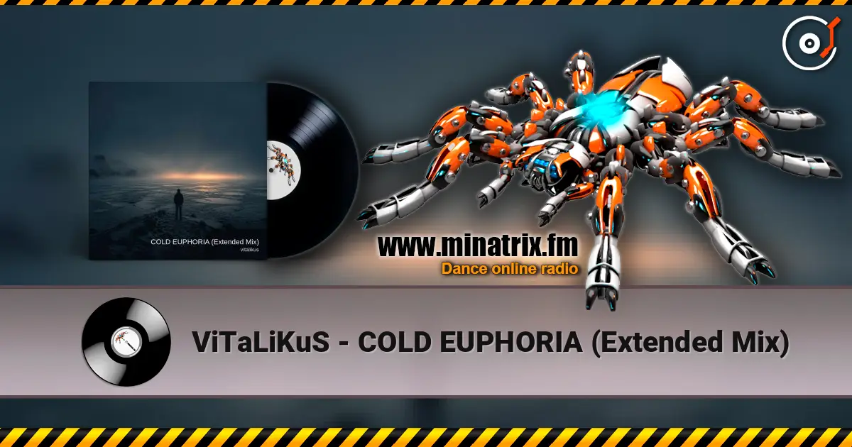 ViTaLiKuS - COLD EUPHORIA (Extended Mix) listen online in high quality | Minatrix.FM