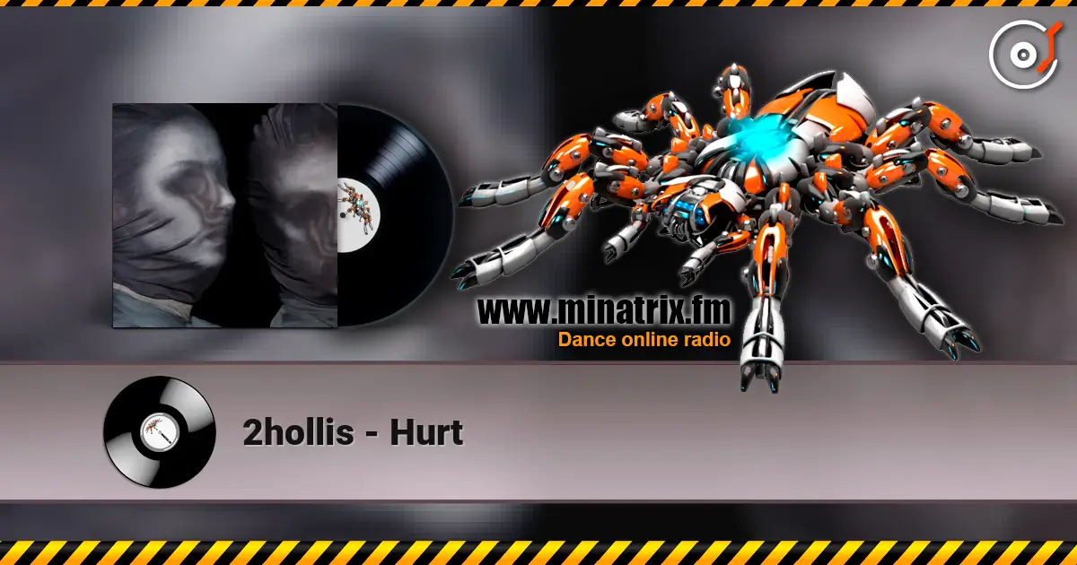 2hollis - Hurt listen online in high quality | Minatrix.FM