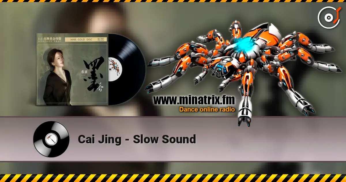 Cai Jing - Slow Sound listen online in high quality | Minatrix.FM