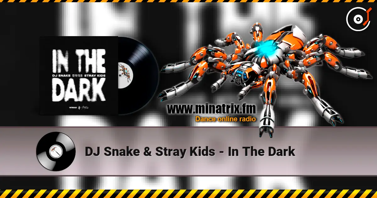 DJ Snake & Stray Kids - In The Dark listen online in high quality | Minatrix.FM