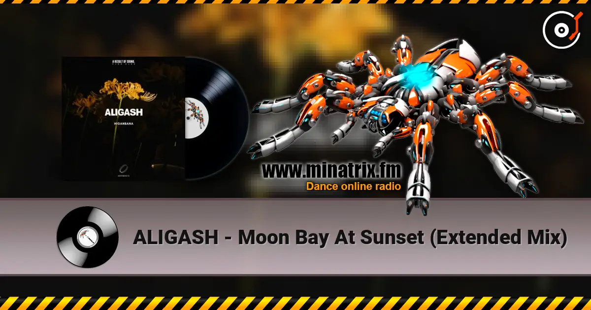 ALIGASH - Moon Bay At Sunset (Extended Mix) listen online in high quality | Minatrix.FM