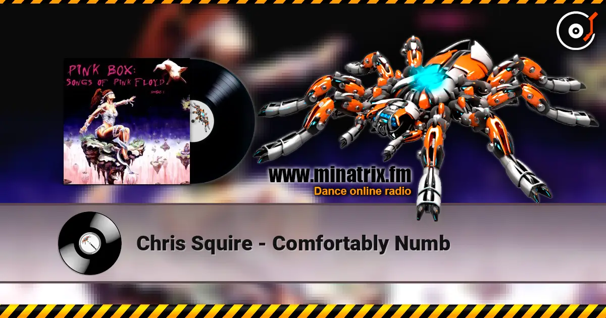 Chris Squire - Comfortably Numb слухати онлайн у високій якості | Minatrix.FM