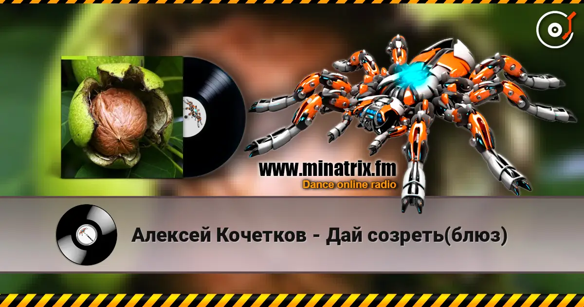 Алексей Кочетков - Дай созреть(блюз) слухати онлайн у високій якості | Minatrix.FM