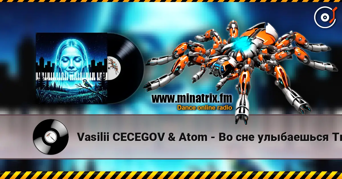 Vasilii CECEGOV & Atom - Во сне улыбаешься Ты слухати онлайн у високій якості | Minatrix.FM