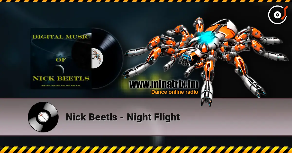 Nick Beetls - Night Flight слухати онлайн у високій якості | Minatrix.FM